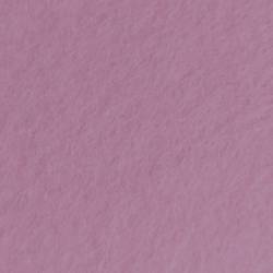 Фетр в рулоне жесткий 2мм 100см арт.FR-2мм уп.25м цв.11 грязно розовый